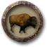 Chasser des bisons