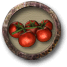 Cueillir des tomates