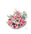 Fichier:Fleur pour avatar.png