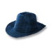Fichier:Chapeau bleu en jean.png