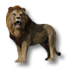Fichier:Lion.png