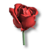 Fichier:Rose.png
