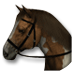 Fichier:Mustang.png