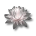 Fleur de lotus.png