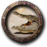 Fichier:Chasser des alligators.png