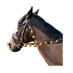 Fichier:Cheval docile.png
