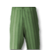 Pantalon vert rayé.png