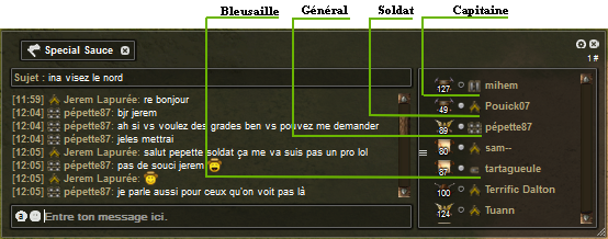 Chat bataille.png