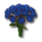 Fleurs bleues.png